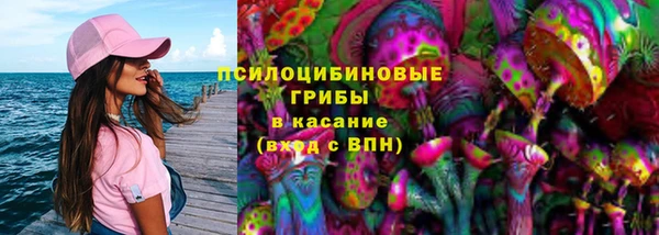 прущий лед Алексеевка