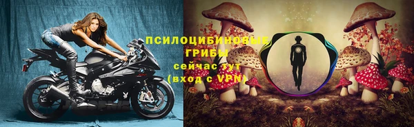 прущий лед Алексеевка