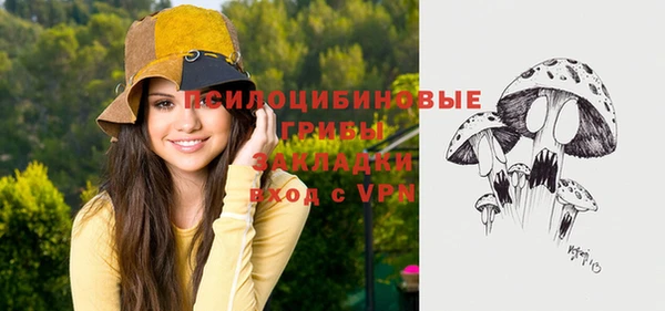 прущий лед Алексеевка